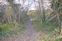 Limekiln Close disused chalk quarry