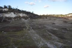 East Pit disused chalk quarry