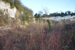 East Pit disused chalk quarry south of Cambridge