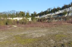 East Pit disused chalk quarry