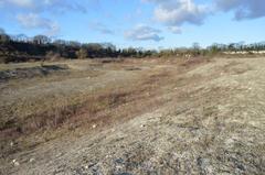 East Pit disused chalk quarry with green shrubs and trees