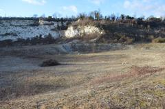 East Pit disused chalk quarry