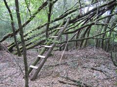 cabin in a forest in Bois du Portail, Cognac