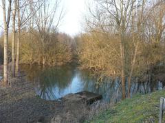 L'Antenne river in flood near D83 bridge in Charente, France