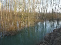 Antenne river in flood near D83 bridge between Cognac and Saint-Laurent-de-Cognac, Charente, France