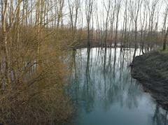 L'Antenne river in flood, downstream of departmental road 83 bridge between Cognac and Saint-Laurent-de-Cognac, Charente, France