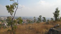 Vegetation at Cerro del Guerrero