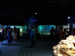 Aquarium de La Rochelle tanks