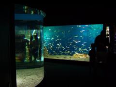 Aquarium de La Rochelle tanks