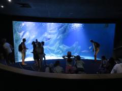 Aquarium La Rochelle with diverse marine life