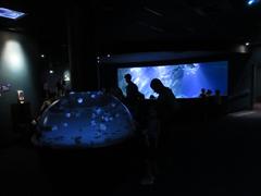 Aquarium de La Rochelle interior view