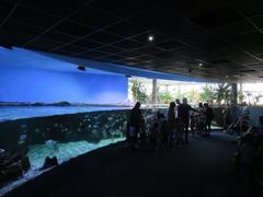 Aquarium La Rochelle display