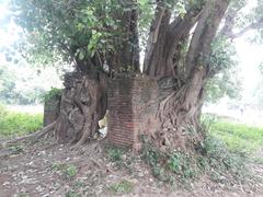 Arikamedu archaeological site near Puducherry India