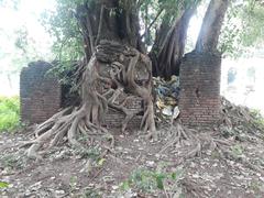 Arikamedu archaeological site near Puducherry India