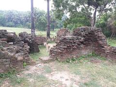 Arikamedu archaeological site near Puducherry India