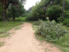 Arikamedu archaeological site near Puducherry, India