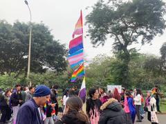 LGBT+ flags symbolizing various orientations