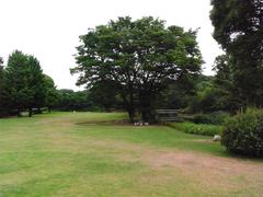 Tayasumon Gate of the former Edo Castle