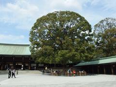 Meiji Jingu Shrine in Yoyogi Park