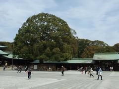 Meiji Jingu Shrine at Yoyogi Park