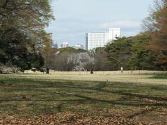 Meiji Jingu Shrine at Yoyogi Park