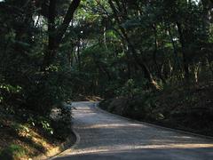 inside Meiji Shrine