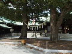 Meiji Jingu Shrine at Yoyogi Park