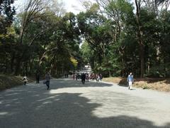 Meiji Jingu Shrine at Yoyogi Park