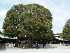 Meiji Jingu Shrine at Yoyogi Park