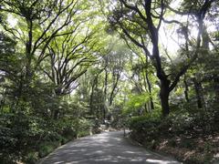 Meiji Shrine in Shinjuku, Tokyo, Japan