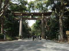 Torii gate at Meiji Jingu Shrine in Yoyogi Park