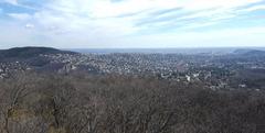 Scenic view from Makovecz Lookout