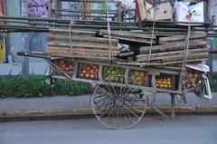 Traditional selling carts in Barrio Yungay, Santiago, Chile