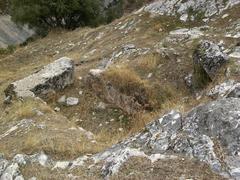 Interior of Aljibe at Castillo de Otíñar in Jaén