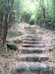 A path leading to Pinewood battery