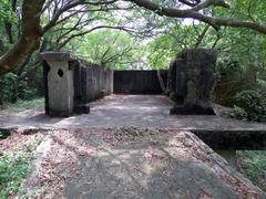 Ruins of Pinewood Battery on Devil's Peak