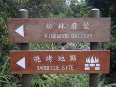 Lung Fu Shan Pinewood Battery