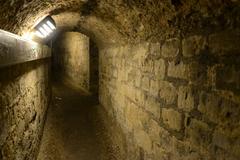 The Catacombs of Paris