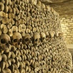 Catacombs skulls and bones