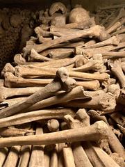 Bones in the Paris Catacomb