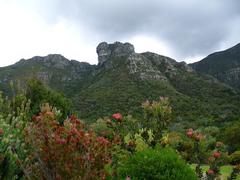 Castle Rock seen from Kirstenbosch, Cape Town