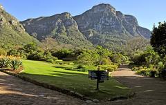 Kirstenbosch National Botanical Garden with Table Mountain in the background