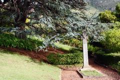 Pearson's Grave at Kirstenbosch National Botanical Gardens