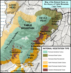 Map of Table Mountain highlighting conservation areas and forests