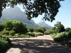 Kirstenbosch Botanical Garden with Table Mountain in the background