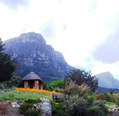 Kirstenbosch Botanical Gardens, Cape Town