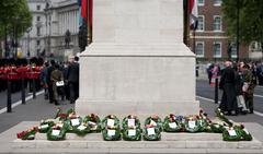 ceremony at the Cenotaph in London on May 20, 2010