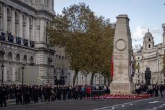 Armistice Day 2018 ceremony with military personnel and civilians