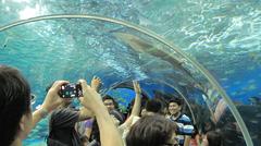 Oceanarium at Manila Ocean Park in the Philippines