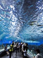 Oceania exhibit at Manila Ocean Park